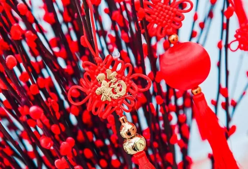 Fotos del hotel Bei Zhaolong , A Jdv By Hyatt:  7