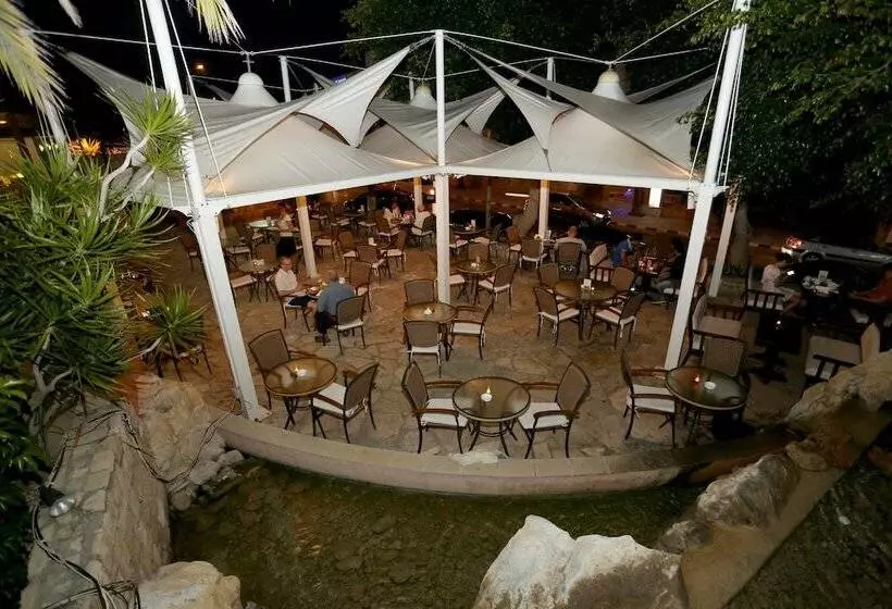 Fotos del hotel Dionysos Central:  18