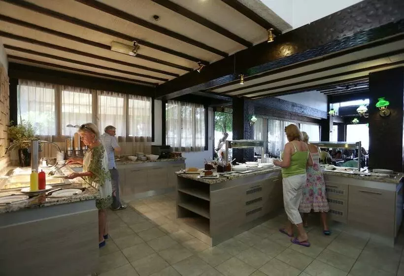 Fotos del hotel Dionysos Central:  14