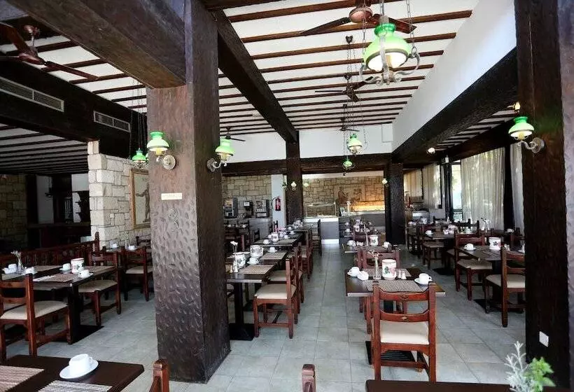 Fotos del hotel Dionysos Central:  9