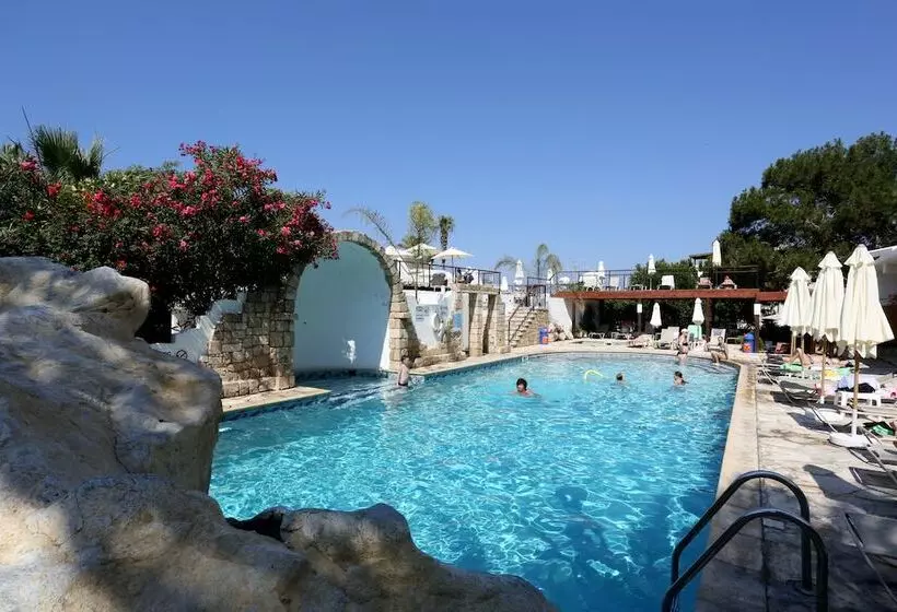 Fotos del hotel Dionysos Central:  20