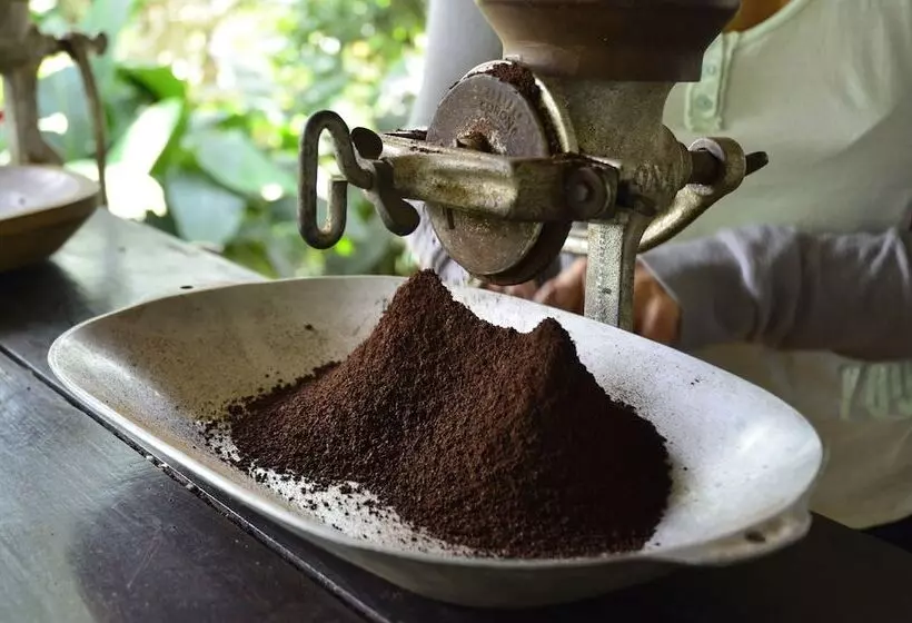 Fotos del hotel Four Seasons  Casa Medina Bogota:  9