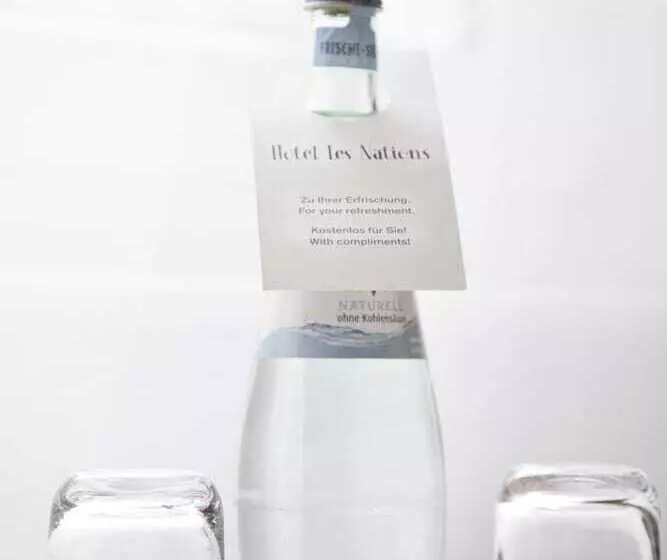 Fotos del hotel Les Nations:  5