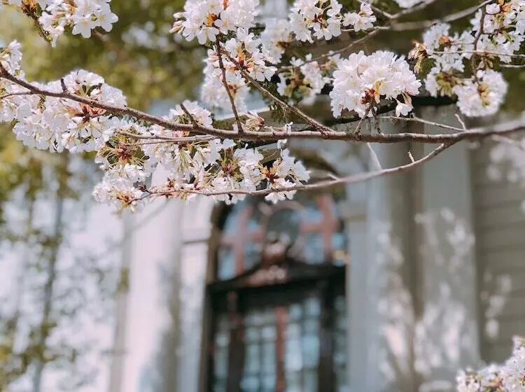 Fotos del hotel Okura Garden Hotel Shanghai:  10