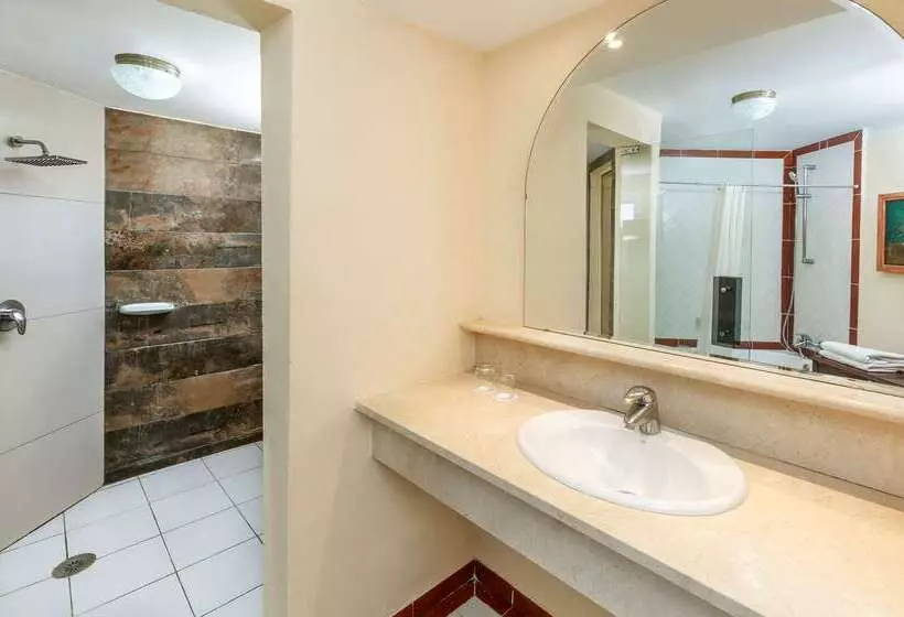 Fotos del hotel Sol Palmeras:  12