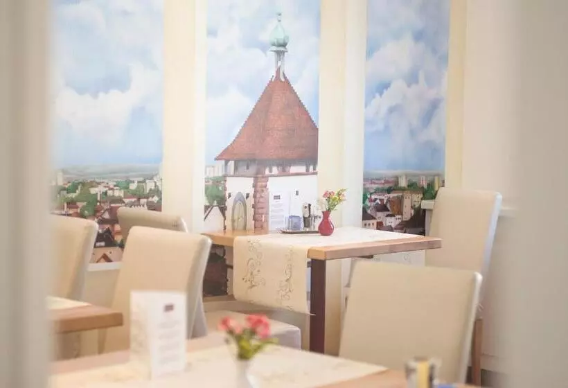 Fotos del hotel City Hotel Freiburg:  8