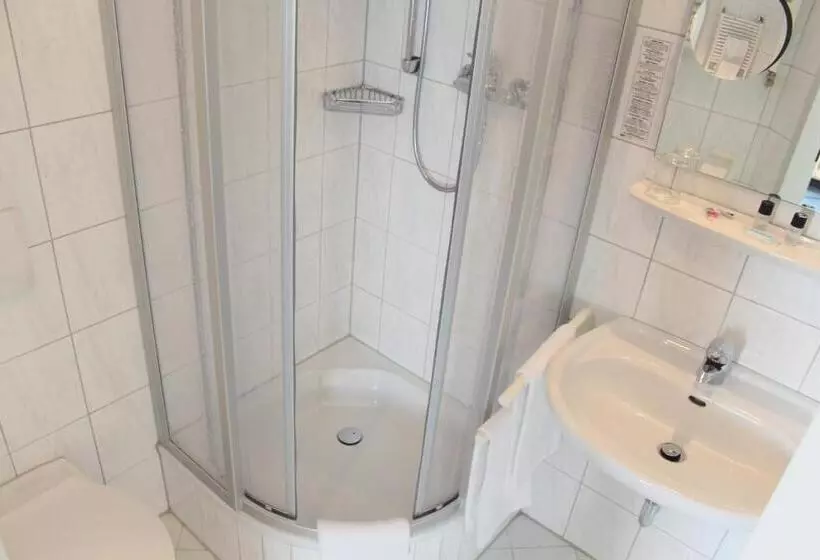 Fotos del hotel City Hotel Freiburg:  4