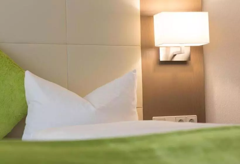 Fotos del hotel City Hotel Freiburg:  16