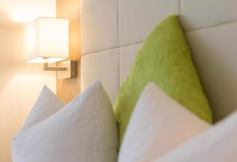 Fotos del hotel City Hotel Freiburg:  21