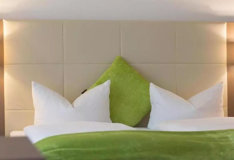 Fotos del hotel City Hotel Freiburg:  23