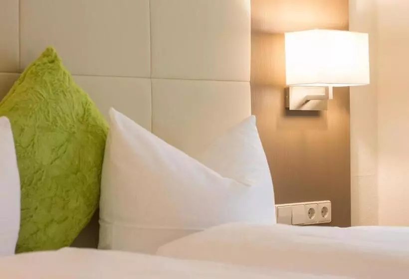 Fotos del hotel City Hotel Freiburg:  14