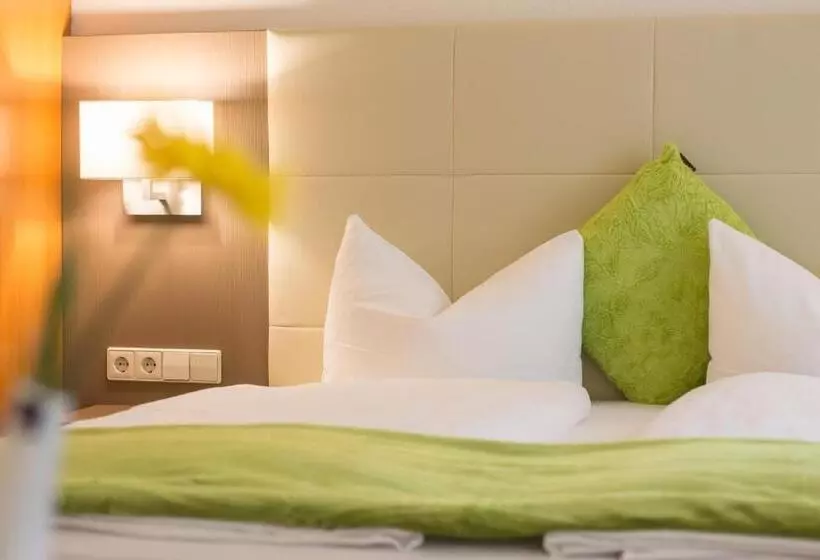 Fotos del hotel City Hotel Freiburg:  19