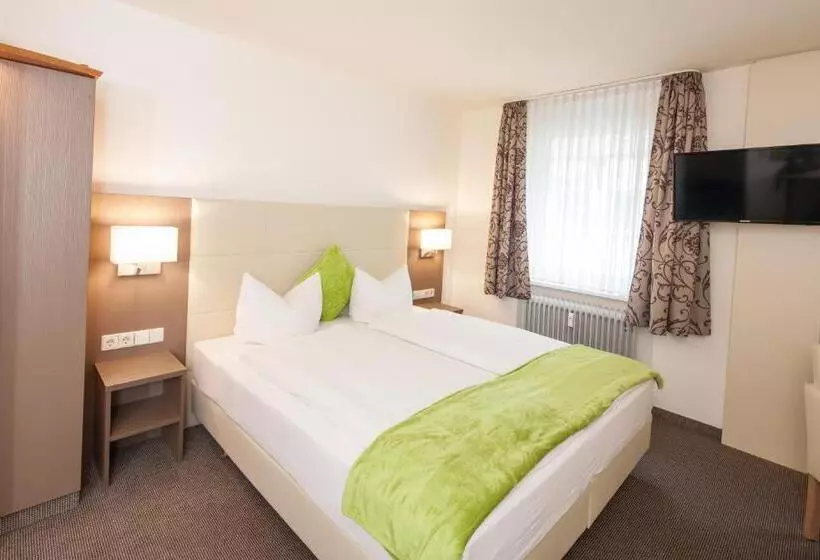 Fotos del hotel City Hotel Freiburg:  11