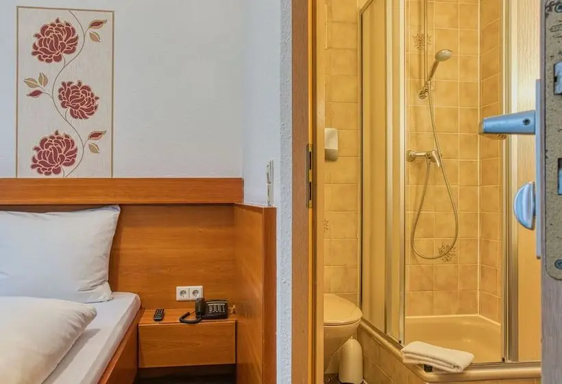 Fotos del hotel Centro  Sautter:  23