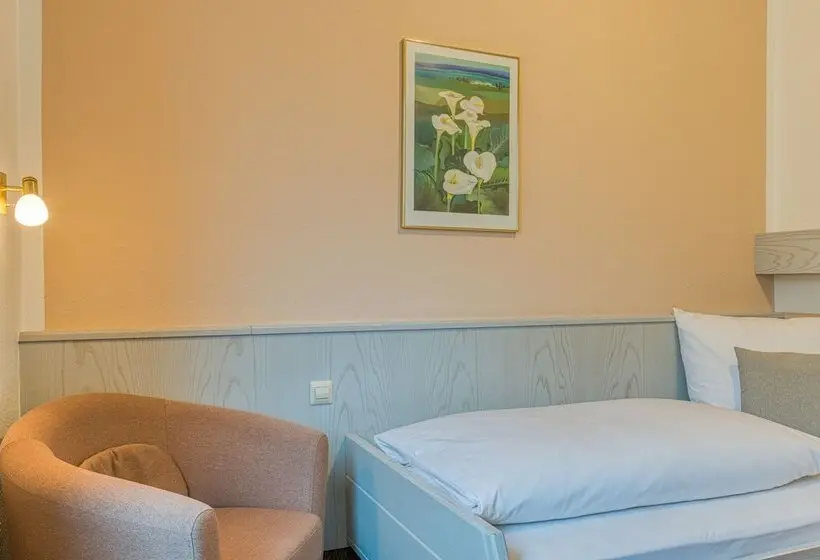 Fotos del hotel Centro  Sautter:  21
