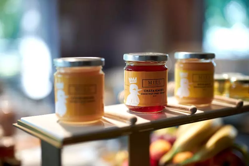 Fotos del hotel Mercure Champs De Mars:  10