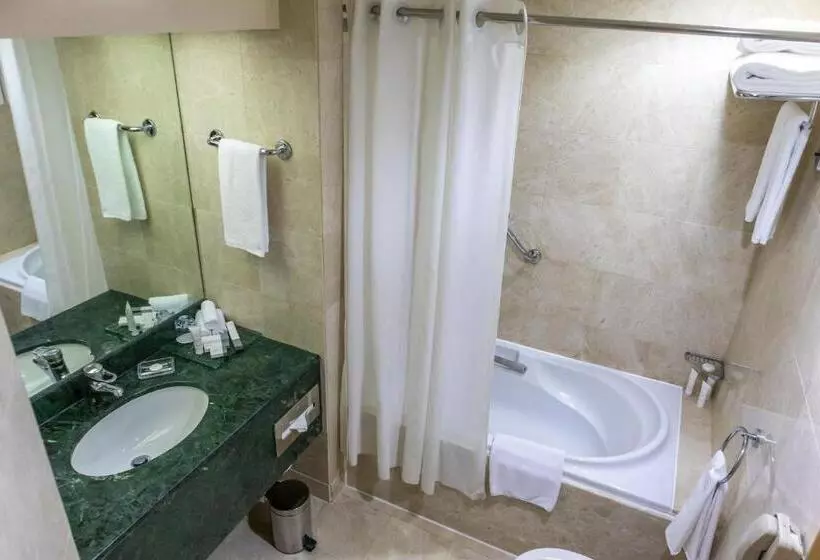 Fotos del hotel Crowne Plaza Abu Dhabi, An Ihg:  31