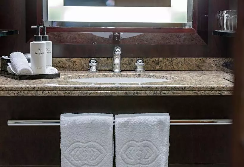 Fotos del hotel Sofitel Lyon Bellecour:  7