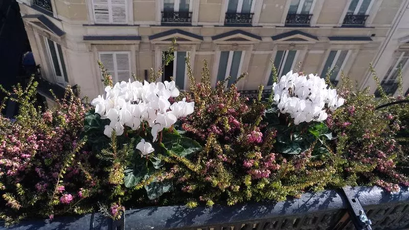 Fotos del hotel Aida Opera:  18