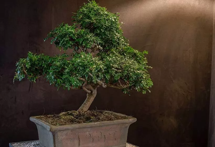 Fotos del hotel Armoni Paris:  7