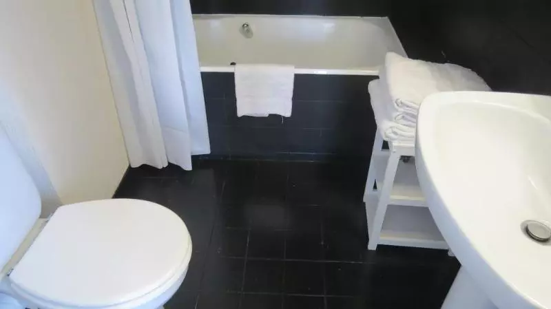 Fotos del hotel Des Congrès Et Festivals:  8