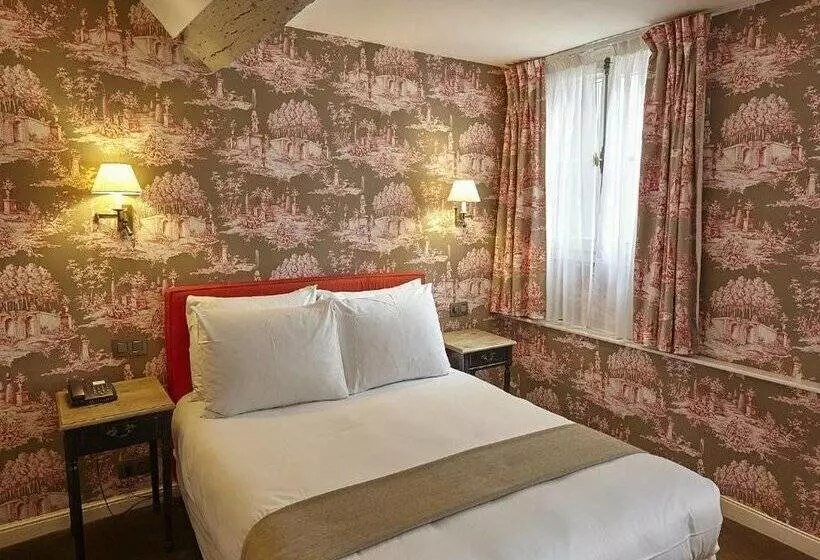 Fotos del hotel Hôtel Du Danube Saint Germain:  5
