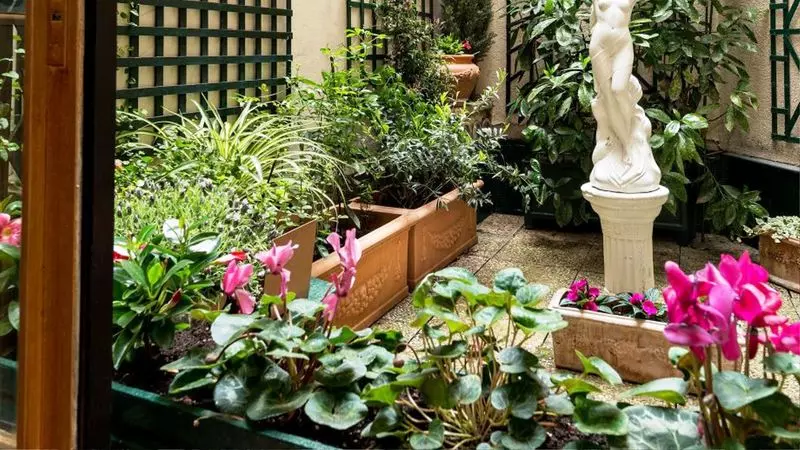 Fotos del hotel Hôtel Harvey:  13