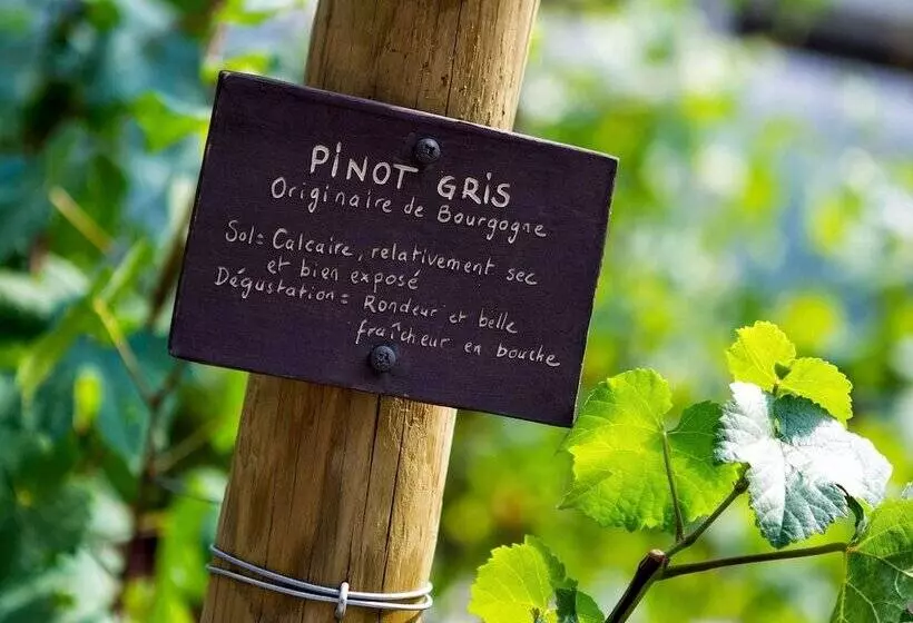 Fotos del hotel Sofitel Strasbourg Grande Ile:  13