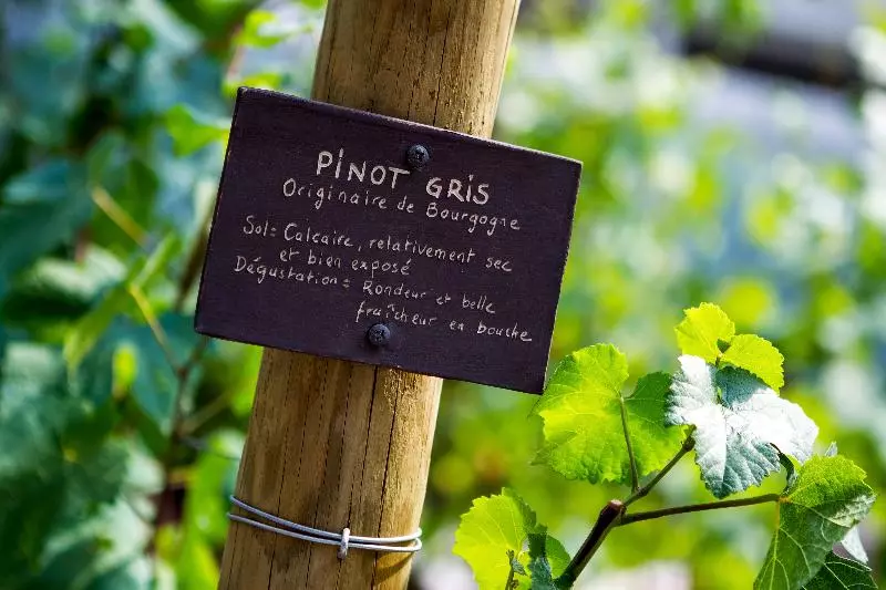 Fotos del hotel Sofitel Strasbourg Grande Ile:  9