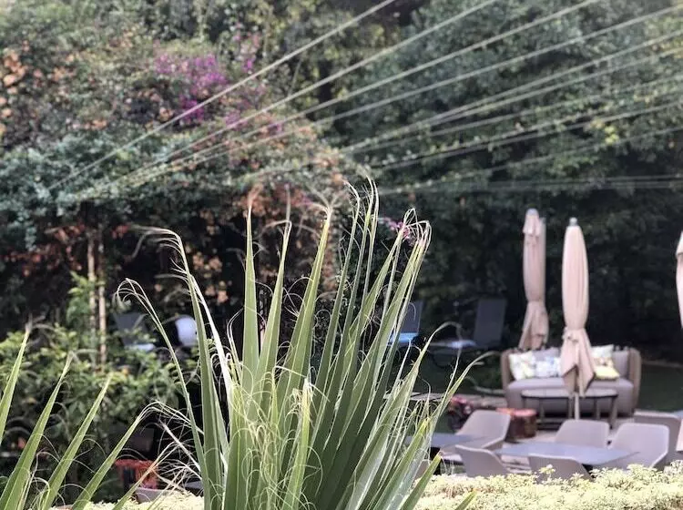 Fotos del hotel Villa Victoria:  9