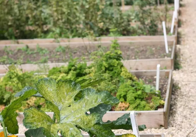 Fotos del hotel The Bath Priory - A Relais & Chateaux:  11