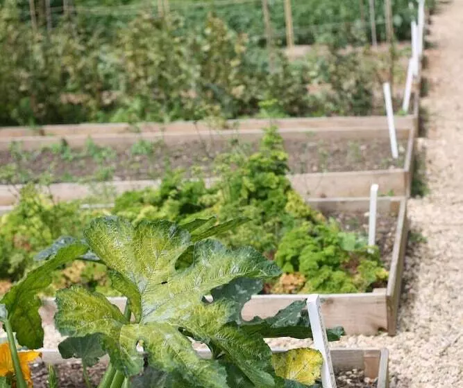 Fotos del hotel The Bath Priory - A Relais & Chateaux:  17