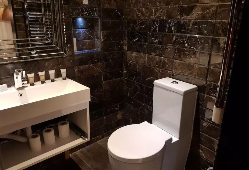 Fotos del hotel Duke Of Leinster:  8