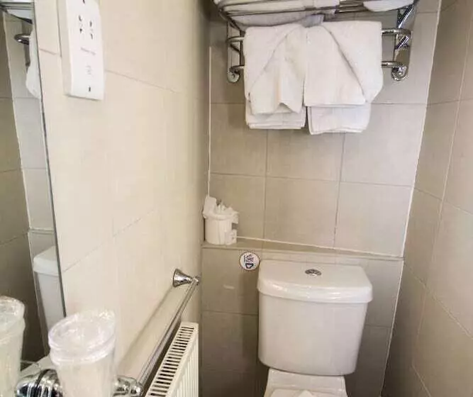 Fotos del hotel Duke Of Leinster:  4