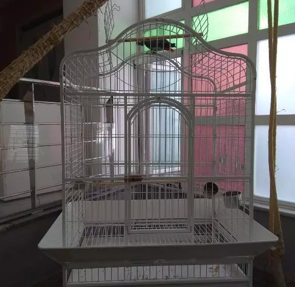 Fotos del hotel Maritina:  16