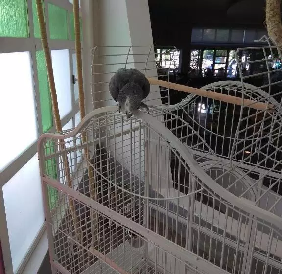 Fotos del hotel Maritina:  8