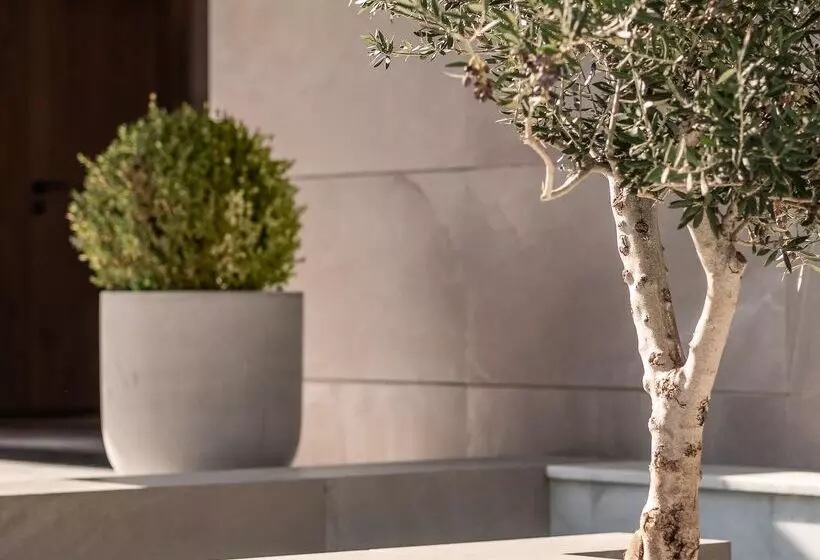 Fotos del hotel Theartemis Palace:  24