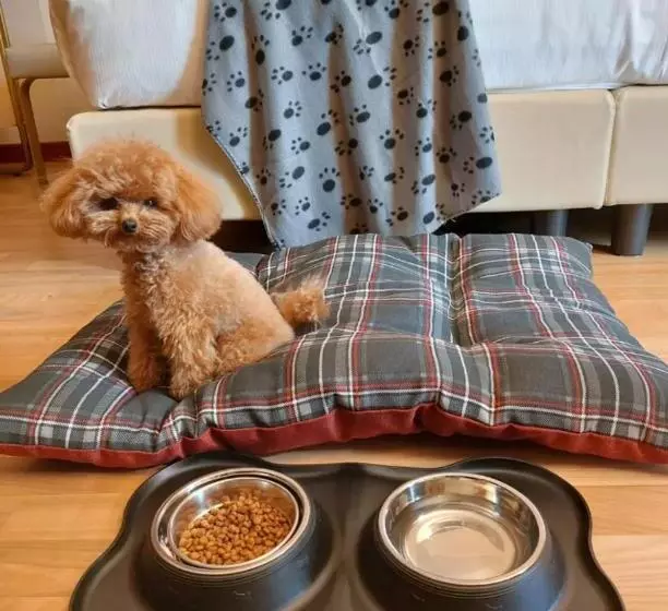 Fotos del hotel Raffaello:  15