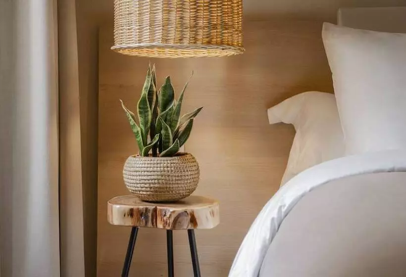 Fotos del hotel Veneto Palace:  14