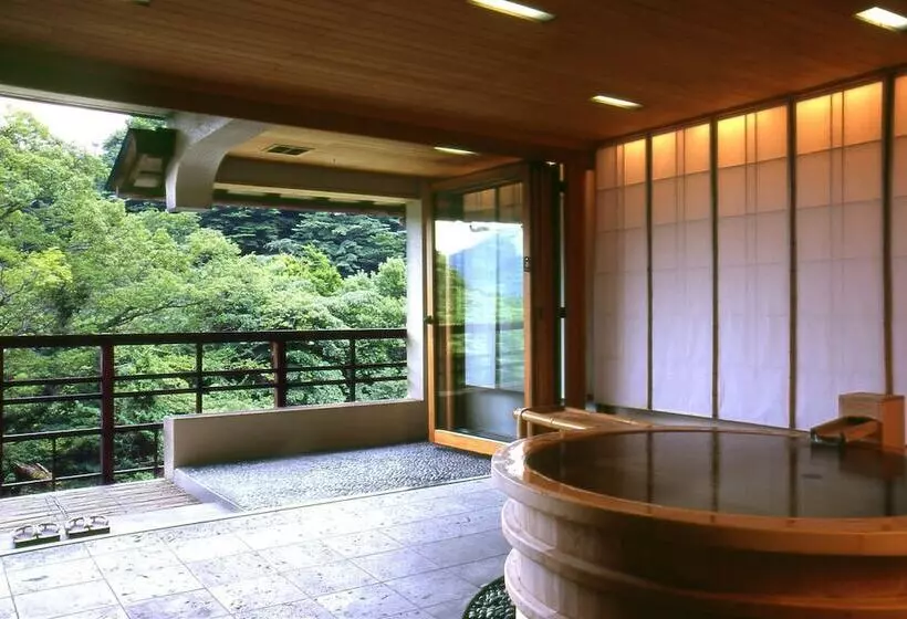 Fotos del hotel Gora Kadan:  18