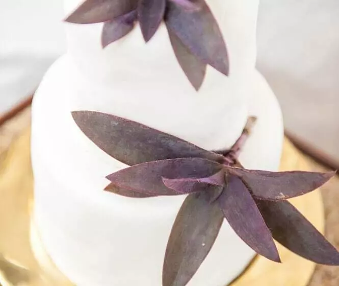 Fotos del hotel Serena Beach Resort & Spa:  8