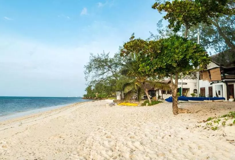 Fotos del hotel Serena Beach Resort & Spa:  19