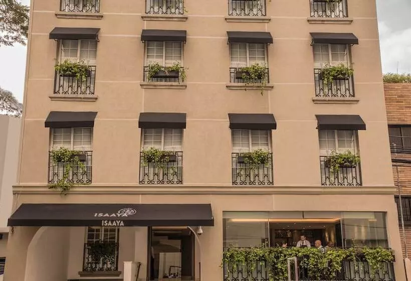 Fotos del hotel Isaaya Hotel Boutique By Wtc:  15