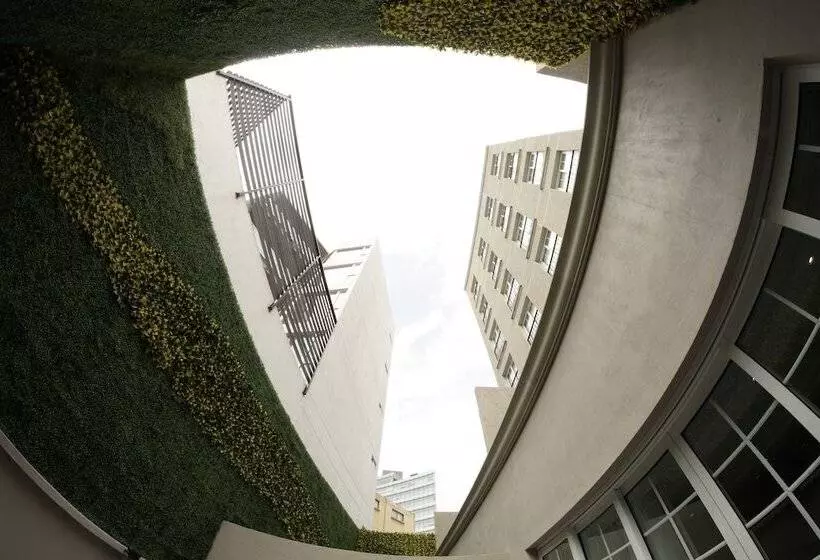 Fotos del hotel Isaaya Hotel Boutique By Wtc:  25