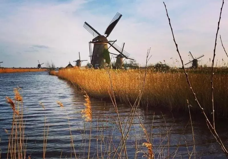 Fotos del hotel The Pavilions Amsterdam, The Toren:  14