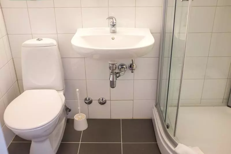 Fotos del hotel Victoria:  5