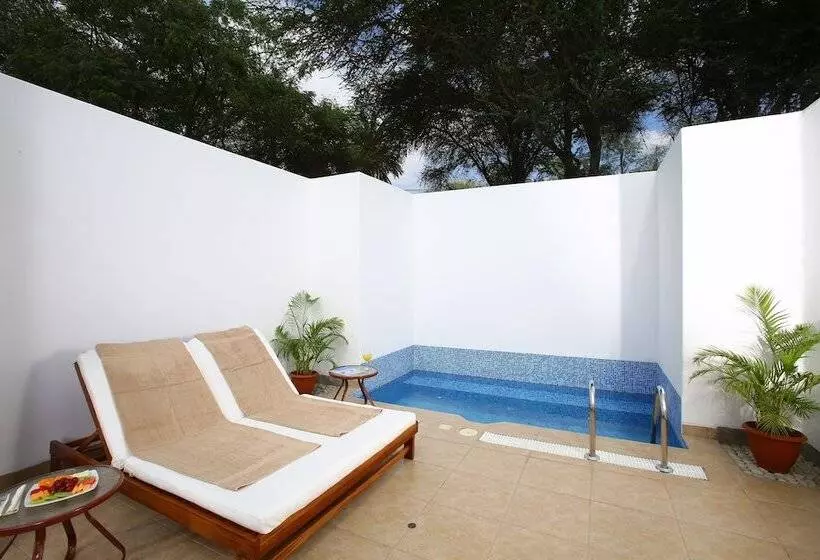 Fotos del hotel Las Dunas:  3