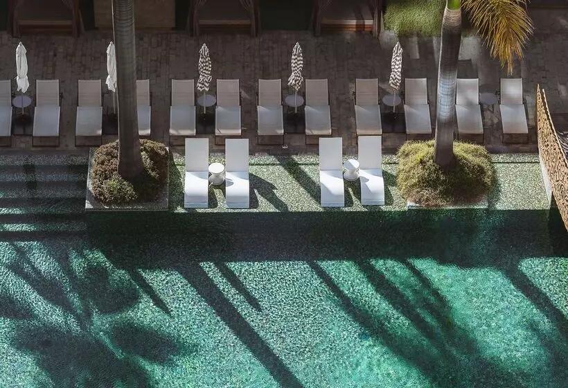 Fotos del hotel Savoy Palace - The Leading Hotels Of The World - Savoy Signature:  72