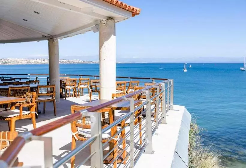 Fotos del hotel The Albatroz:  6