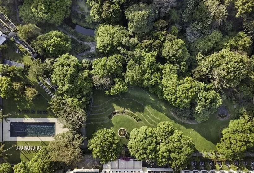 Fotos del hotel Vineyard:  11